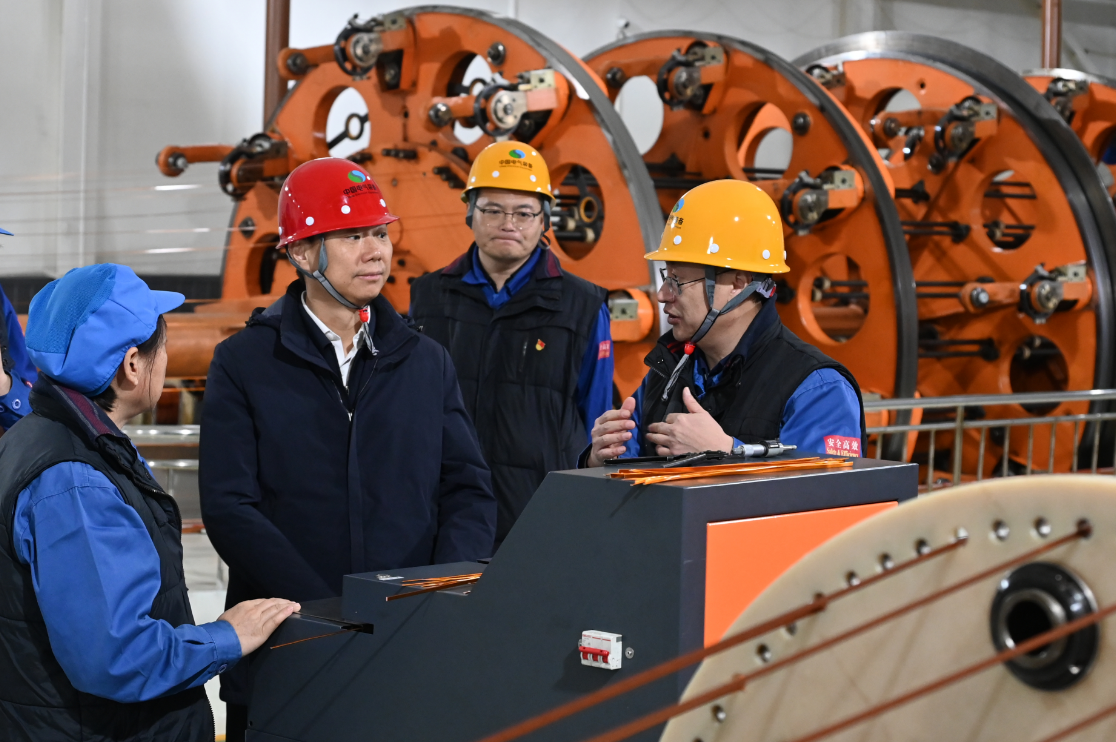 新澳2025年资料库大全