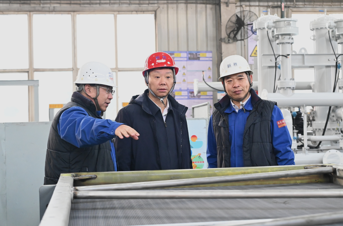新澳2025年资料库大全