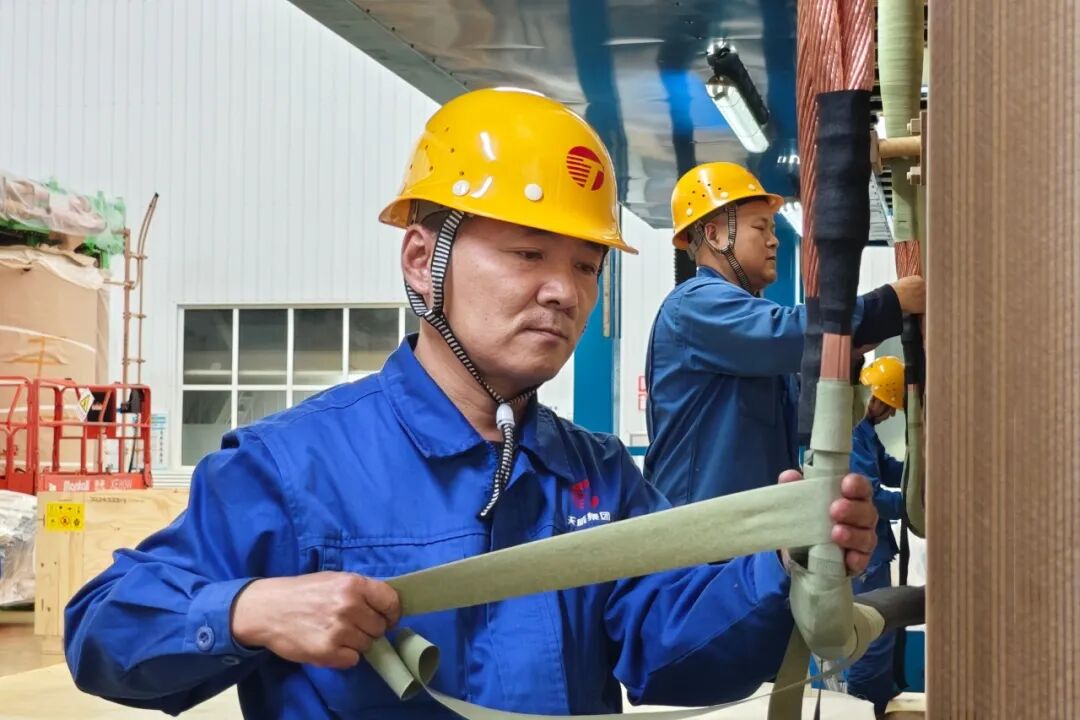 新澳2025年资料库大全