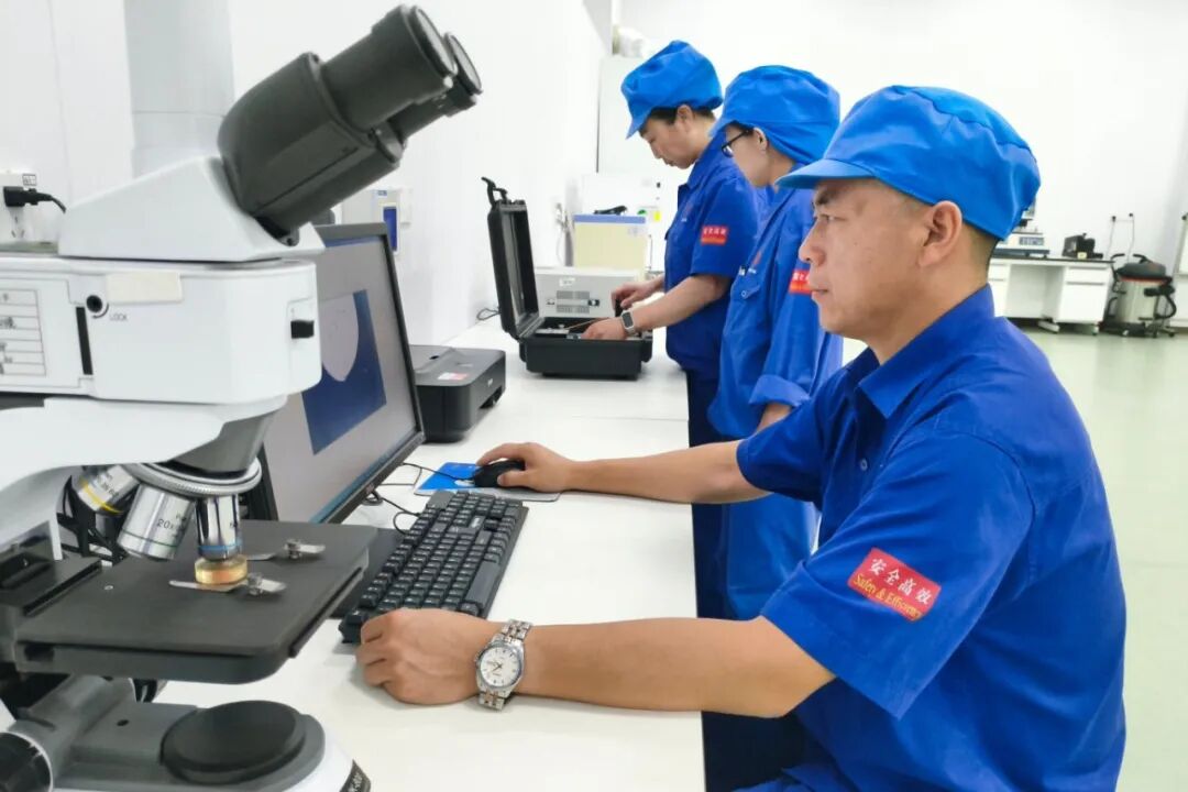 新澳2025年资料库大全
