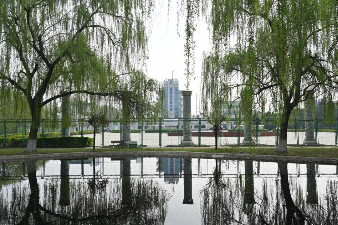 新澳2025年资料库大全