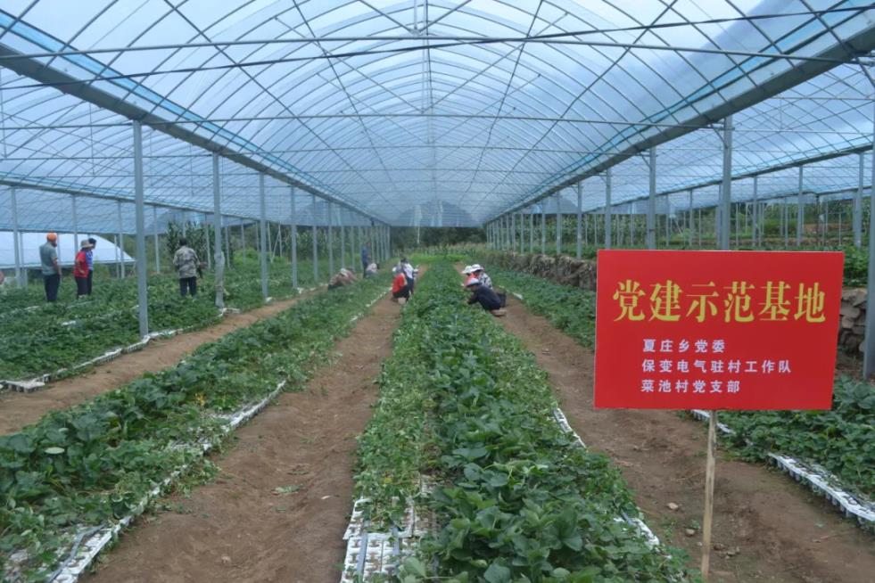 新澳2025年资料库大全