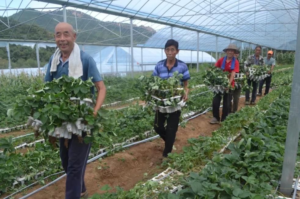 新澳2025年资料库大全